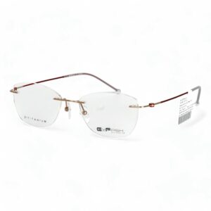 Gọng Kính Exfash EF33218T