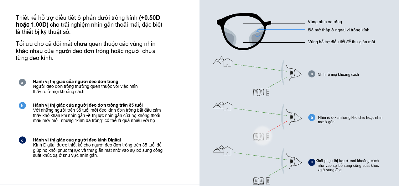 Kính đơn tròng nhuộm màu ZEISS