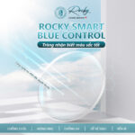 Rocky Smart Bluecontrol 1.61 ASP