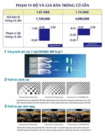 Chemi 1.74 Double Aspheric