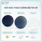 Tròng Kính Mỏng Đổi Màu Siêu Nhanh + Lọc Ánh Sáng Xanh Rocky Lens 1.67 - Ảnh 3