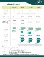Tròng kính Chemi 1.74 U6