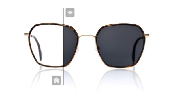 Tròng Kính Đổi Màu Zeiss