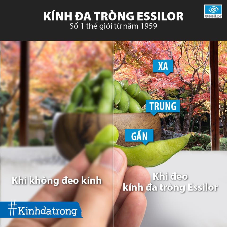 tròng kính 